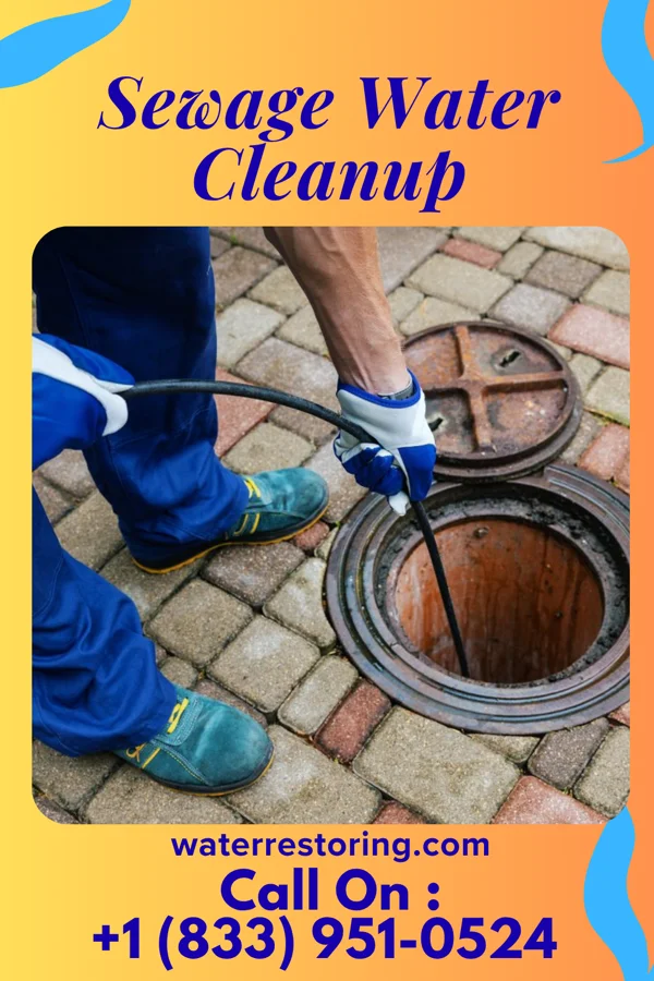 Sewage Water Cleanup in Clarksdale, MO